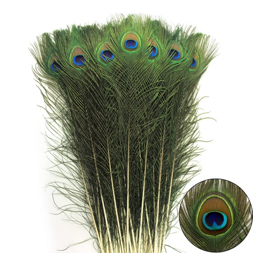 24pcs peacock feathers - peacock,