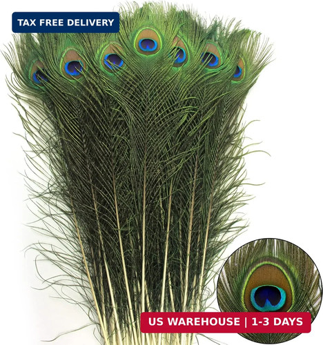 24pcs peacock feathers - 24pcs,