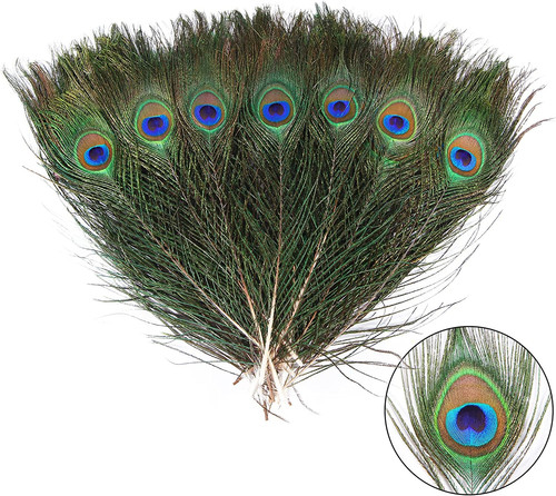 12pcs peacock feather - peacock,