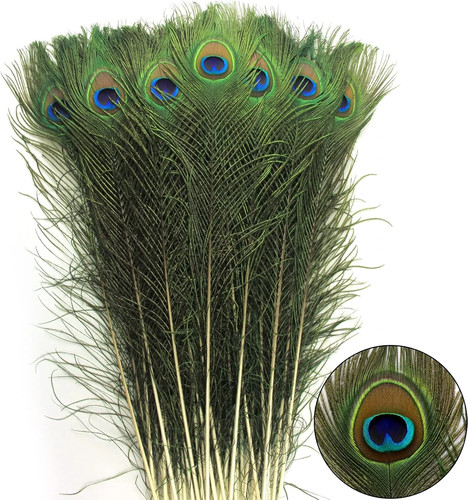 24pcs peacock feathers long - 24pcs,