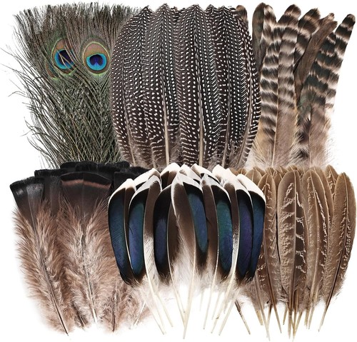 Natural feathers bulk 55pcs - bulk,